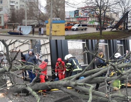 Зірвані білборди, повалені дерева та одна постраждала – наслідки стихії в Кропивницькому й області. ФОТО