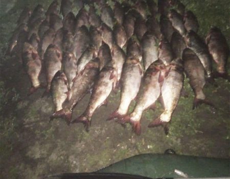 На Кіровоградщині відкрили 27 кримінальних проваджень через вилов риби у нерест