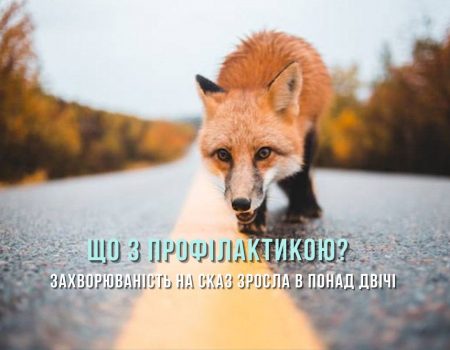 Коли цьогоріч чекати на імунізацію диких тварин проти сказу на Кіровоградщині