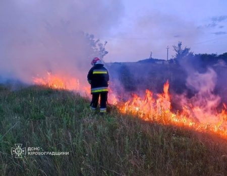 Від початку року на Кіровоградщині виникло понад 670 пожеж в екосистемі