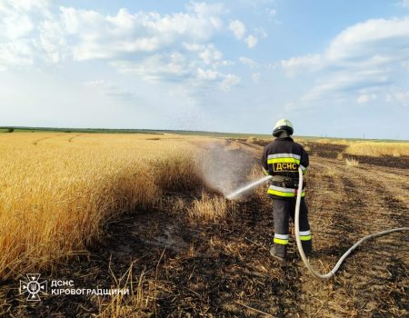 В Устинівській громаді на Кіровоградщині згоріло більше гектара пшениці