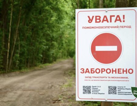 На Кіровоградщині заборонили відвідувати ліси через надзвичайну пожежну небезпеку