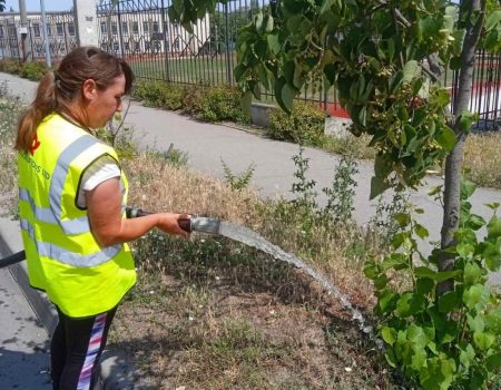 Кропивничан закликають допомогти комунальникам поливати квіти і дерева під час аномальної спеки