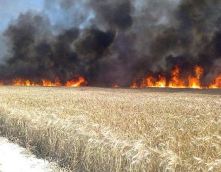 На Кіровоградщині внаслідок падіння ракети загорілося поле одного зі сільгосппідприємств