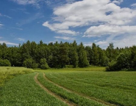 Через стару грошову оцінку земель громада на Кіровоградщині недоотримала 1,8 млн грн