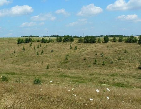 Громаді на Кіровоградщині повернули землі заповідника, які оцінюють у понад 20 млн грн