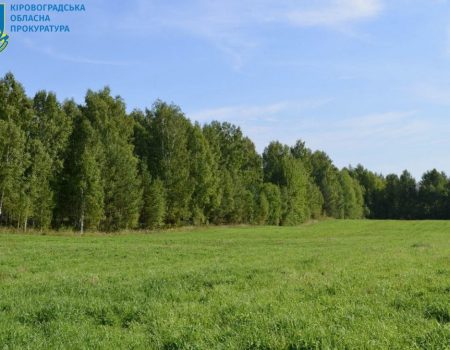 Лісовий масив вартістю 12 млн грн повернули в державну власність на Кіровоградщині