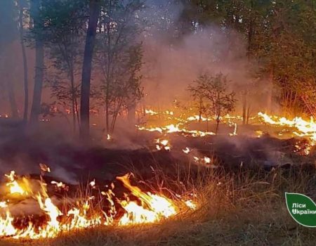 На Кіровоградщині внаслідок російського обстрілу сталася четверта лісова пожежа