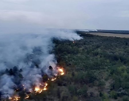 На Кіровоградщині дві доби не можуть загасити лісову пожежу, яку спричинила російська ракета. ФОТО