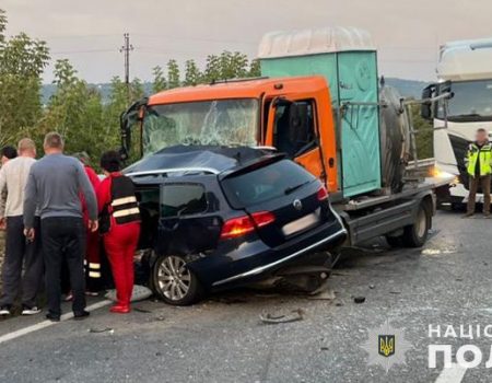 У світловодських мишей виявили лептоспіроз і туляремію, вживатимуться протиепідемічні заходи