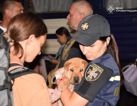 У світловодських мишей виявили лептоспіроз і туляремію, вживатимуться протиепідемічні заходи