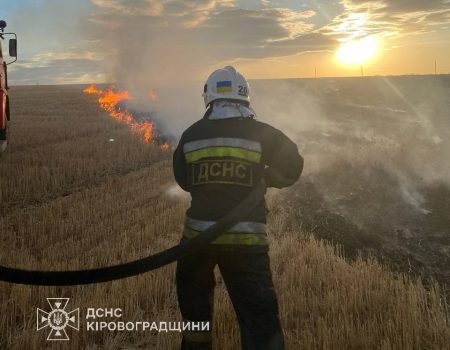 З початку року на Кіровоградщині сталося 2767 пожеж, більшість – через спалювання сухої рослинності