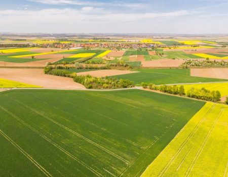 Антикорупційна організація із Кропивницького закликає керівництво ДСНС прибрати фірми-прокладки. ВІДЕО