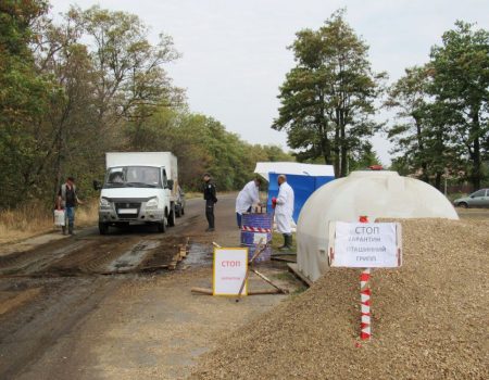 Пташиний грип: на виїзді із Созонівки Кропивницького району чергує поліція. ФОТО