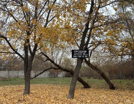 Начальник Патрульної поліції Кропивницького призначив службове розслідування ДТП за участі патрульного