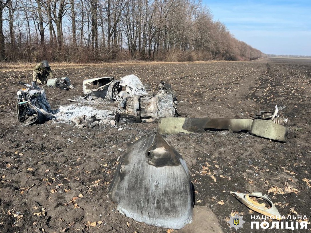 Знищені уламки техніки або об'єкту на полі. Шматки сильно обгорілі, розкидані по землі, і навколо видно відкриту місцевість з деревами на задньому плані.