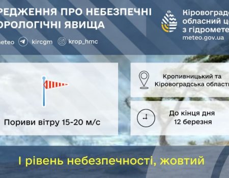 Підприємці з “Європейського” просять депутатів повернути землю під ринком у комунальну власність