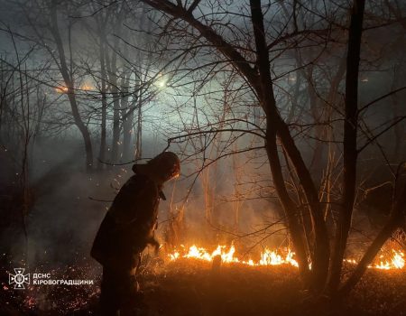 На Кіровоградщині у власність держави повернули лісовий масив вартістю понад 180 млн грн